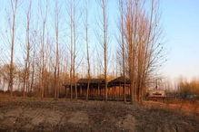 今日头条黄河公园图片,黄河公园美景尽收眼底