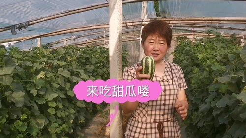 大妈吃瓜演绎,揭秘娱乐圈背后的故事