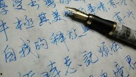 网红手写的笔是什么笔,书写之美背后的神秘之笔