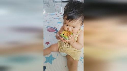 吃瓜周岁照片,甜蜜瞬间，见证成长足迹