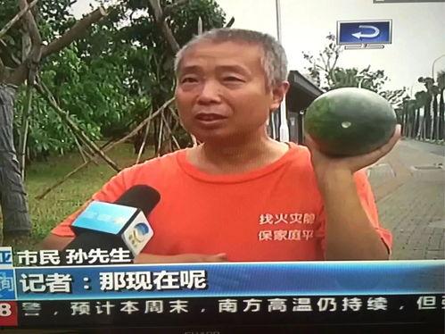 文山吃瓜群众事件,一场网络舆论的风暴与反思