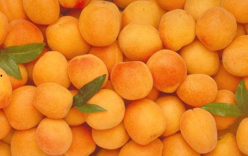 吃樱桃可以吃哈密瓜,樱桃与哈密瓜的奇妙搭配之旅