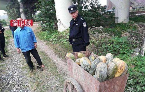 近期热门吃瓜事件缅北,一场惊心动魄的吃瓜大戏