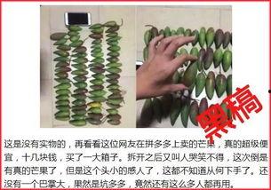 拼多多56元网红水果,尝鲜必备的性价比之选