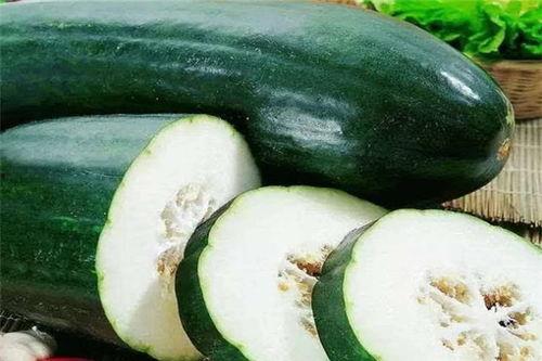 冬天种什么瓜可以吃,冬季种植的瓜类美食指南