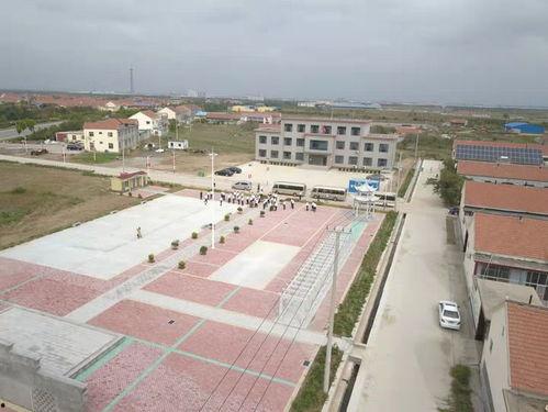 沾化市富源镇新闻头条,聚焦发展新篇章，共绘乡村振兴美好蓝图