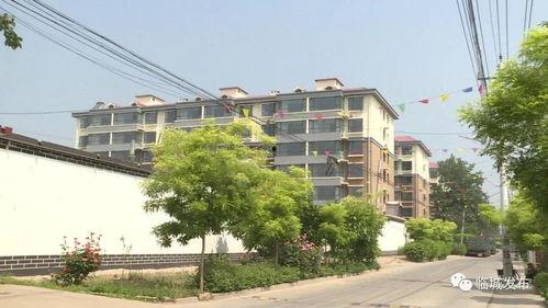 南孟村网红,网络红人助力乡村振兴的璀璨明珠