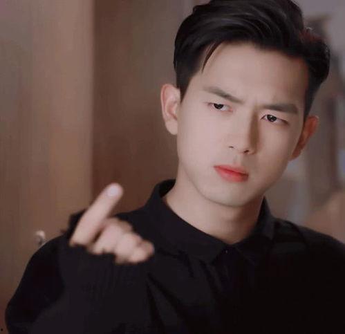 圈内爆料李现李易峰,揭秘娱乐圈的兄弟情深与精彩瞬间