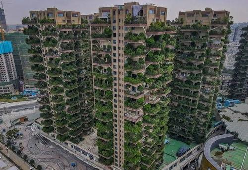 第4代网红住宅有哪些,创新设计引领潮流趋势