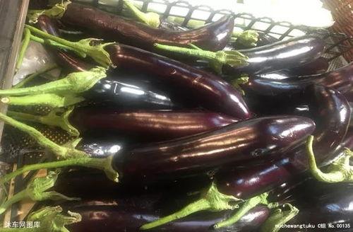 茄子吃瓜视频网址,揭秘吃瓜视频中的茄子奥秘