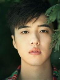 雪华明星,闪耀星河，璀璨人生