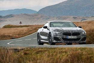 新余头条宝马,宝马闪耀登场，引领城市新风尚