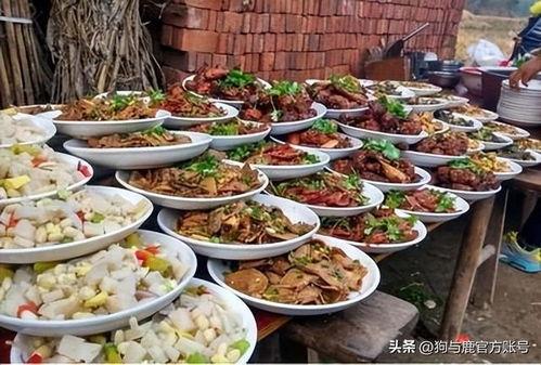 网红农村吃席音乐,网红农村吃席音乐，唤醒乡村记忆的旋律之旅