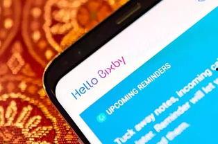 今日头条新闻周山路,最新动态与热点事件盘点