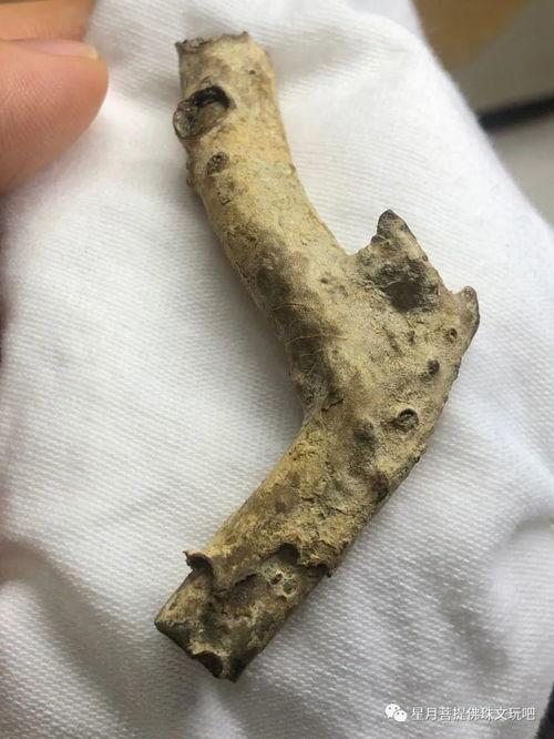 海柳怎么看料的好坏,揭秘海柳优劣之辨