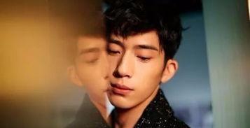 奶奶的明星男,闪耀舞台的青春风采