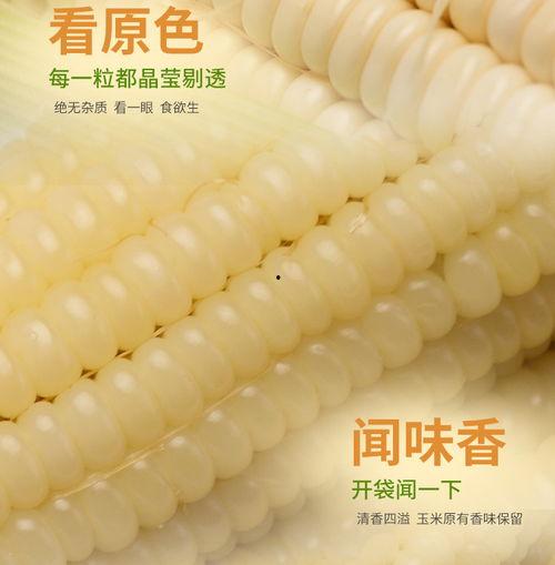 头条东北粘玉米