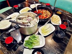 网红宝贝美食节目,尽享味蕾盛宴