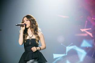 乐视网 明星,璀璨星光下的娱乐盛宴”