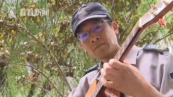 最新新西兰网红大叔视频,新西兰网红大叔带你领略南半球风情