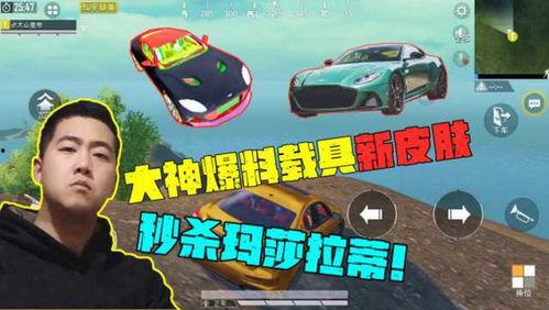 吃鸡载具皮肤爆料最新,炫酷外观引玩家热议！