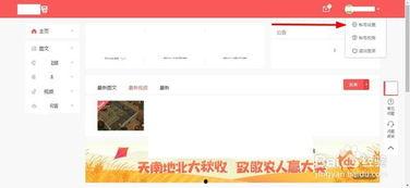 头条号小说账号在哪里看,头条号小说账号，精彩内容一网打尽！