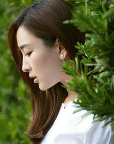 做头发最新爆料,明星做头发背后的最新潮流与秘密