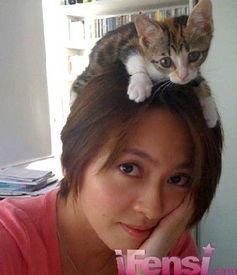 明星搞怪可爱图片,明星搞怪可爱瞬间大盘点